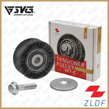 غلطک هرزگرد دینام نوع C ( با پیچ و واشر ) سمند ZLDF EF7 