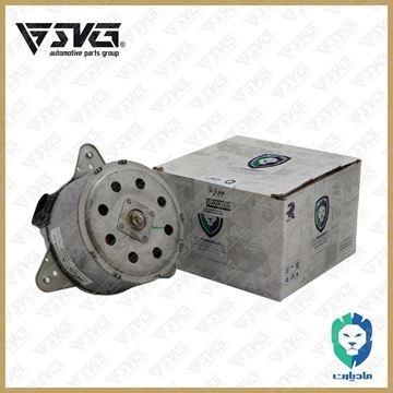موتور تکی فن تارا مادپارت